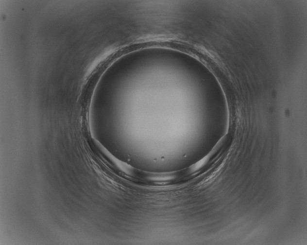 X0000070181406200605261121