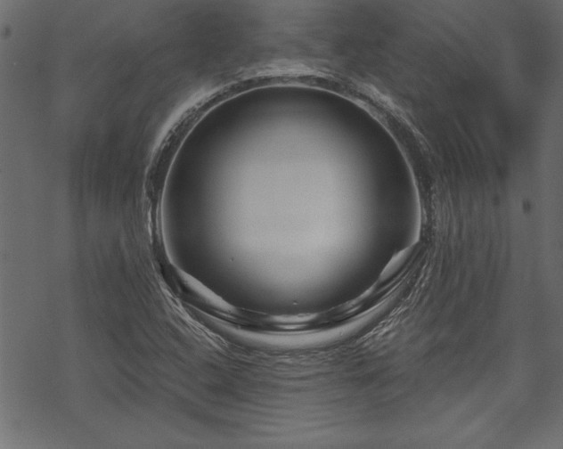 X0000070181408200605261121