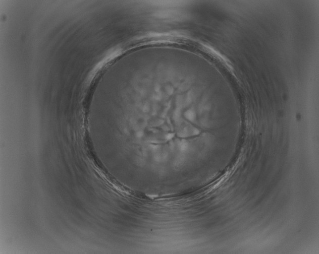X0000070181411200605261121