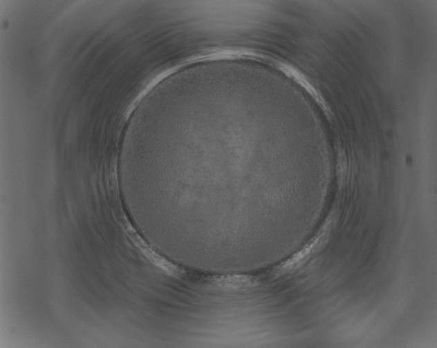 X0000070181417200605261121