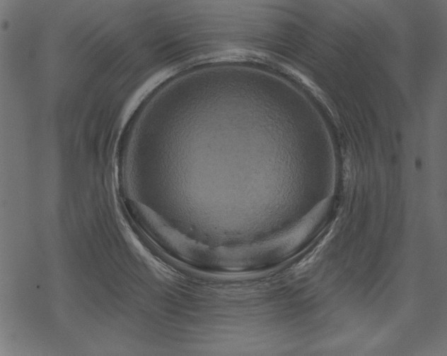 X0000070181418200605261121