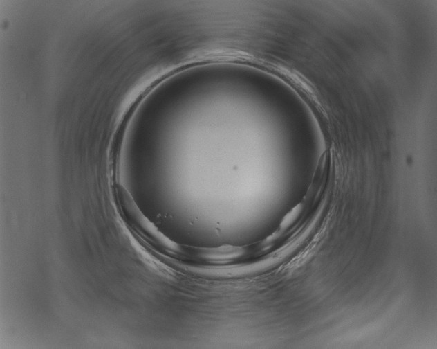 X0000070181430200605261121