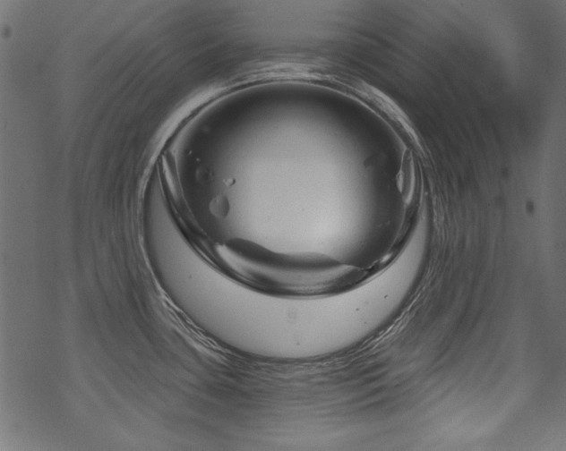 X0000070181435200605261121