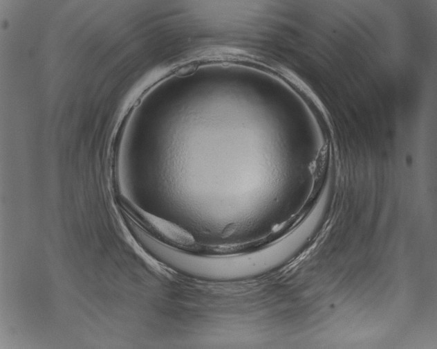 X0000070181437200605261121