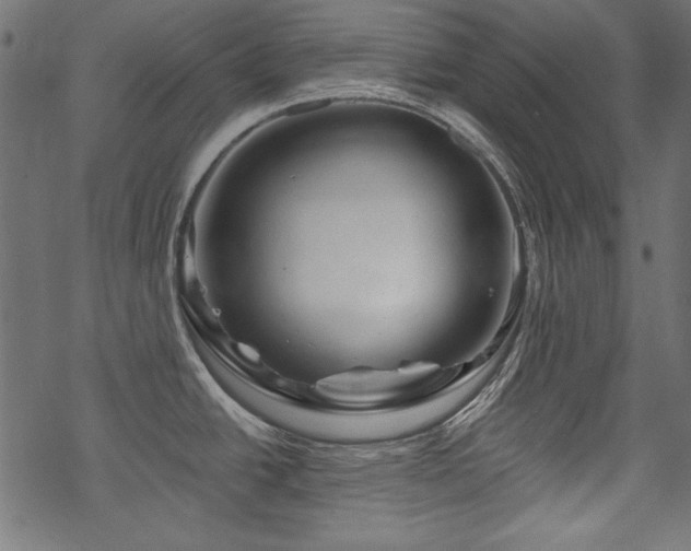 X0000070181438200605261121