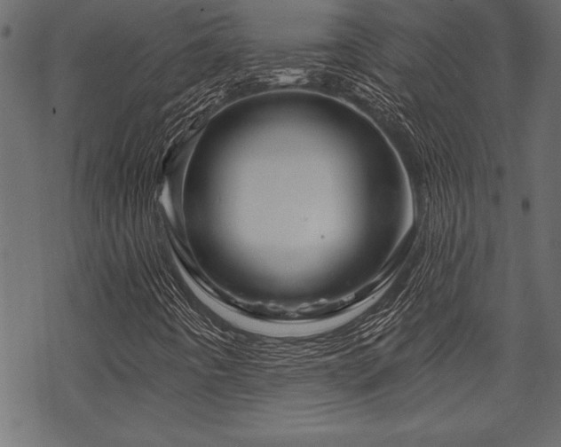 X0000070181442200605261121