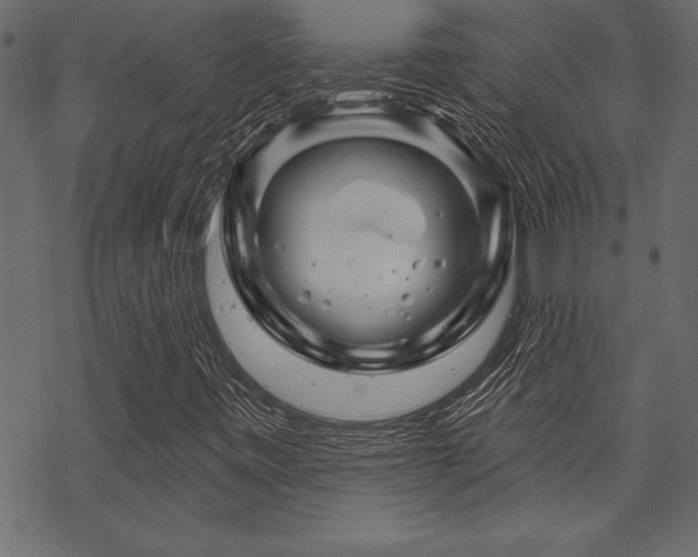 X0000070181443200605261121