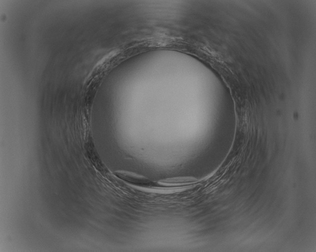 X0000070181446200605261121