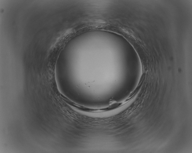 X0000070181447200605261121
