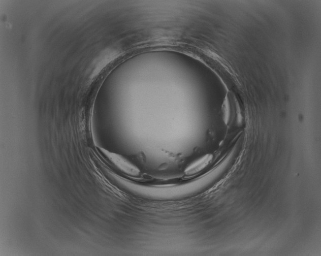 X0000070181450200605261120