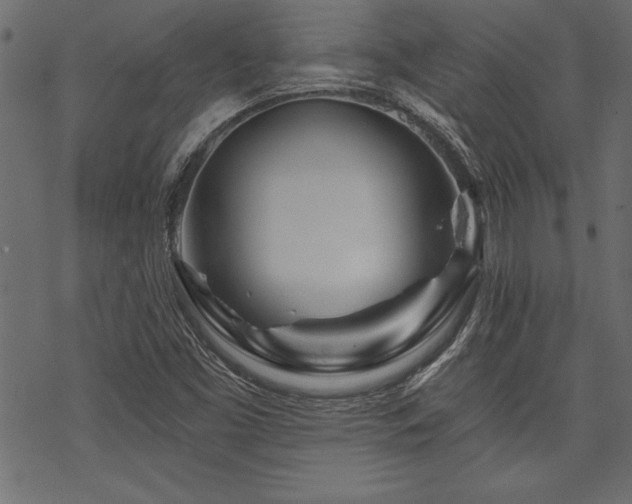 X0000070181453200605261120