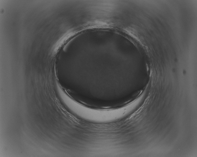 X0000070181455200605261120