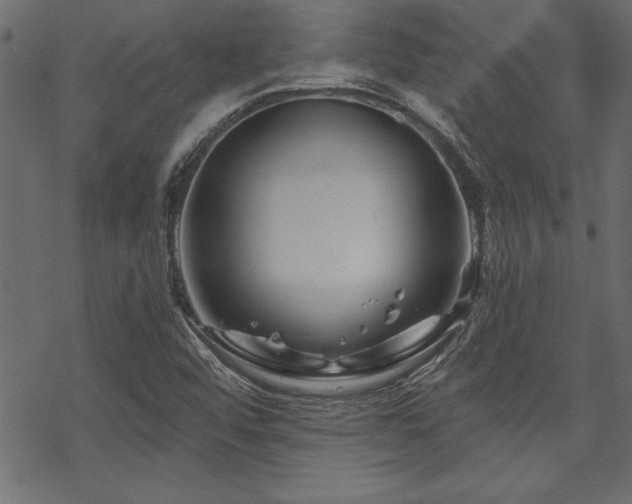 X0000070181456200605261120