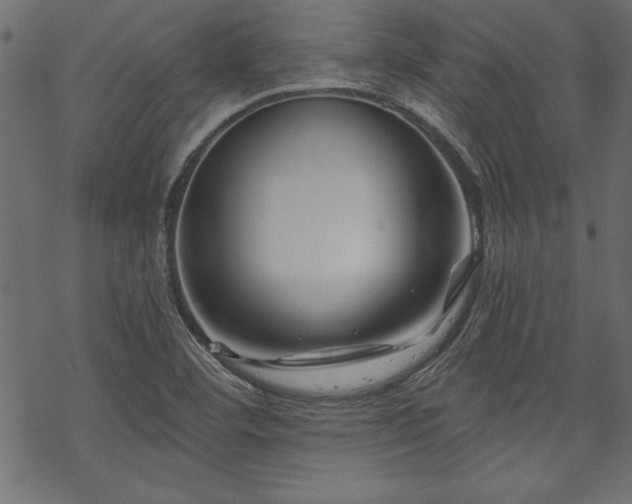 X0000070181460200605261120