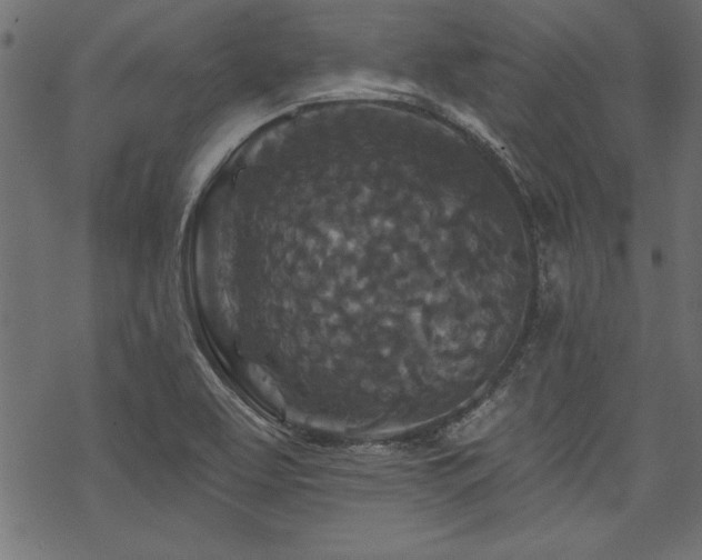 X0000070181463200605261120