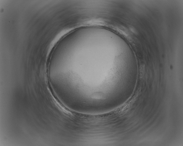 X0000070181470200605261120