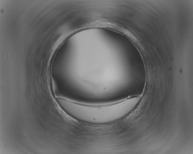 X0000070181478200605261120