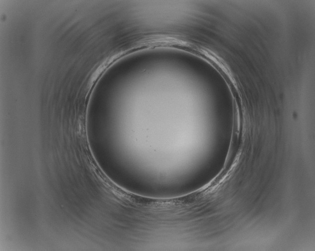 X0000070181481200605261120
