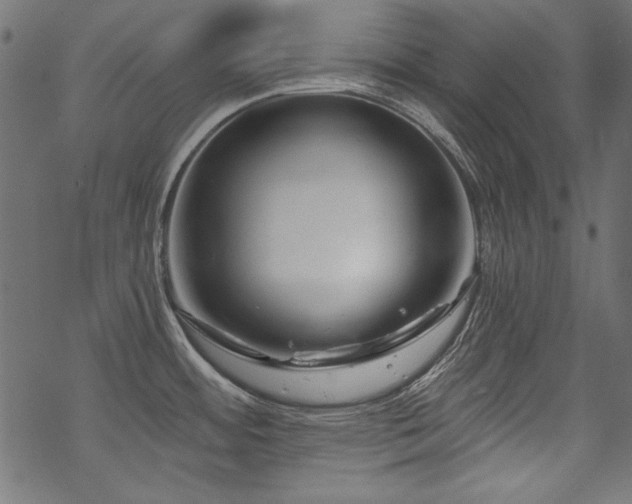 X0000070181484200605261120