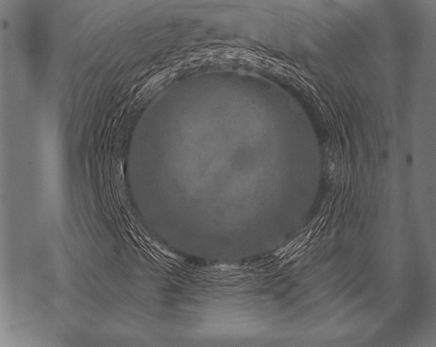 X0000070181489200605261119
