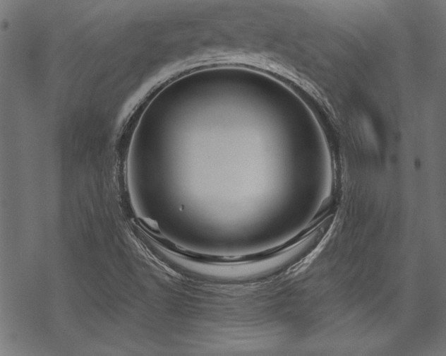 X0000070181502200605261119