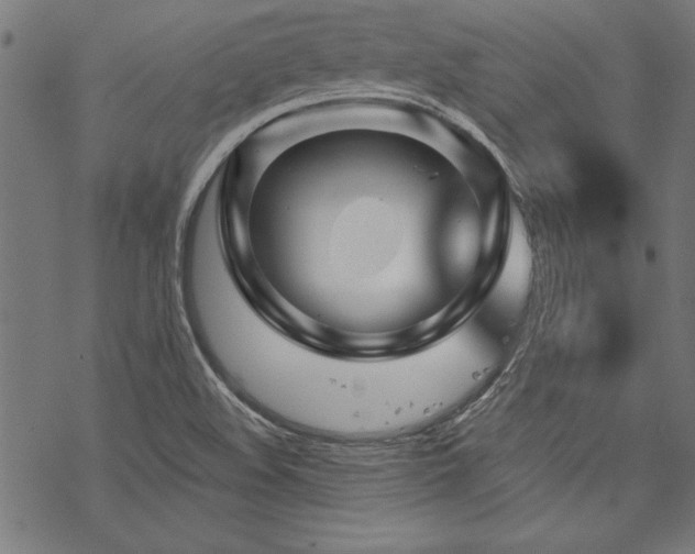 X0000070181508200605261119