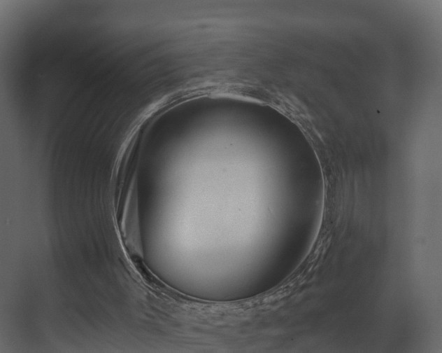 X0000070180003200605301403