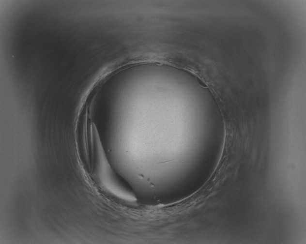 X0000070180006200605301403