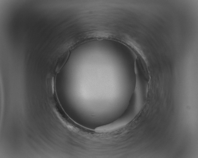 X0000070180013200605301403