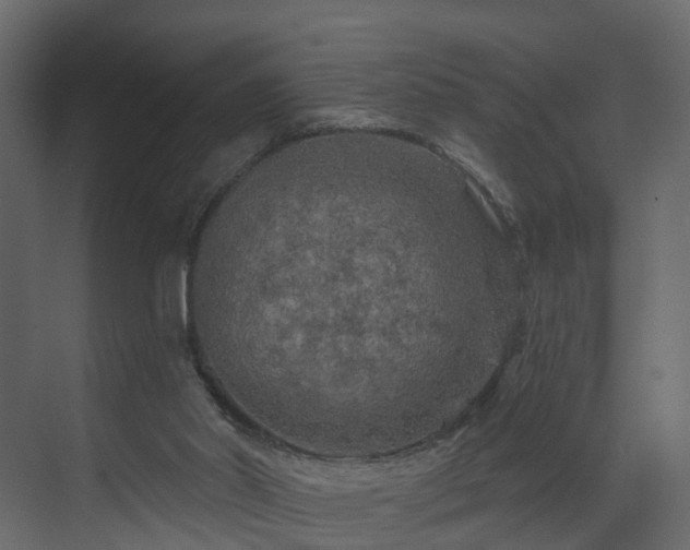 X0000070180014200605301403
