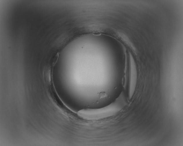 X0000070180021200605301403