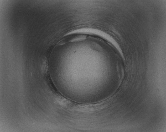 X0000070180029200605301403