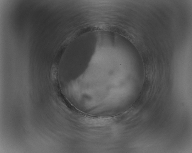 X0000070180036200605301403