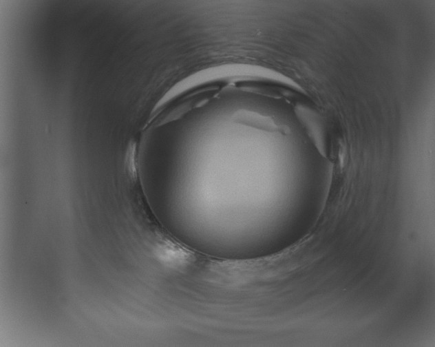 X0000070180041200605301402