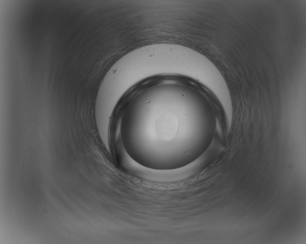 X0000070180043200605301402