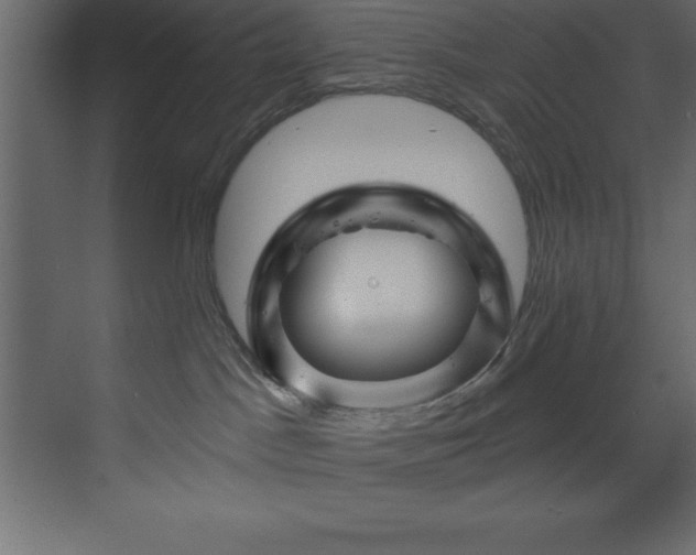 X0000070180045200605301402