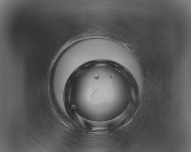 X0000070180056200605301402