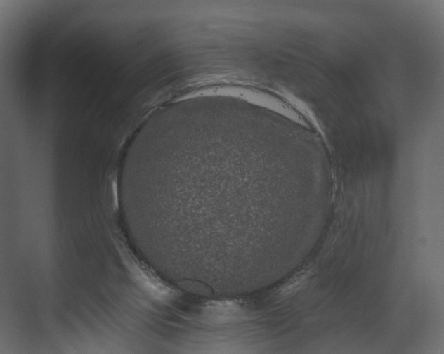 X0000070180061200605301402