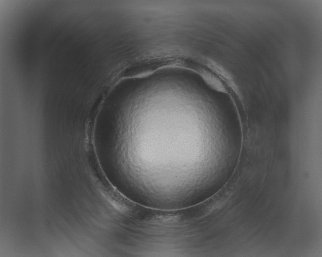 X0000070180065200605301402