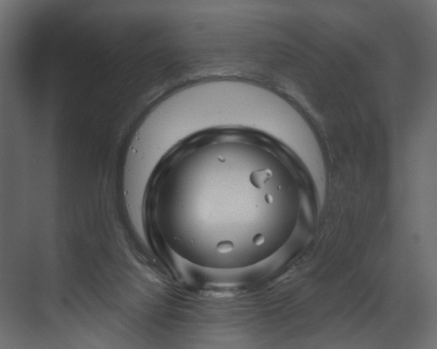X0000070180068200605301402