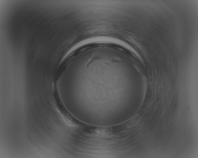 X0000070180070200605301402