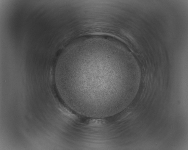 X0000070180077200605301402
