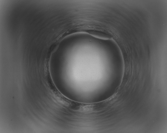 X0000070180078200605301402