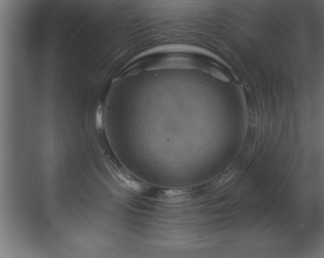 X0000070180095200605301402