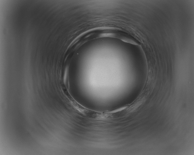 X0000070180096200605301402
