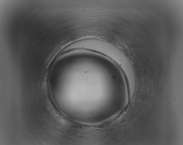 X0000070180098200605301402