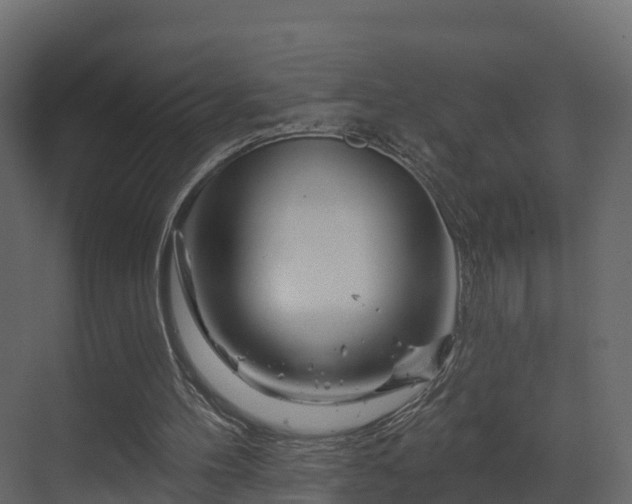 X0000070180100200605301401