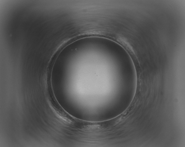 X0000070180108200605301401