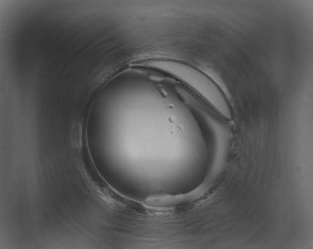 X0000070180109200605301401