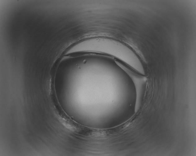 X0000070180110200605301401